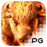pgsoft image